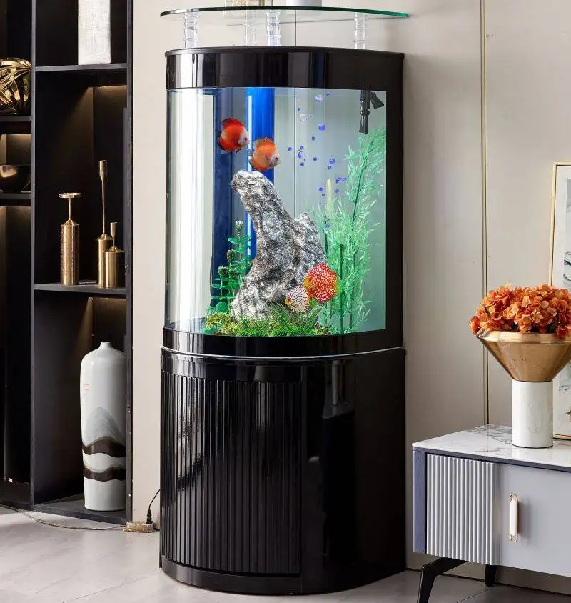 Bể cá bán nguyệt hiện đại nhập khẩu đẹp BC024