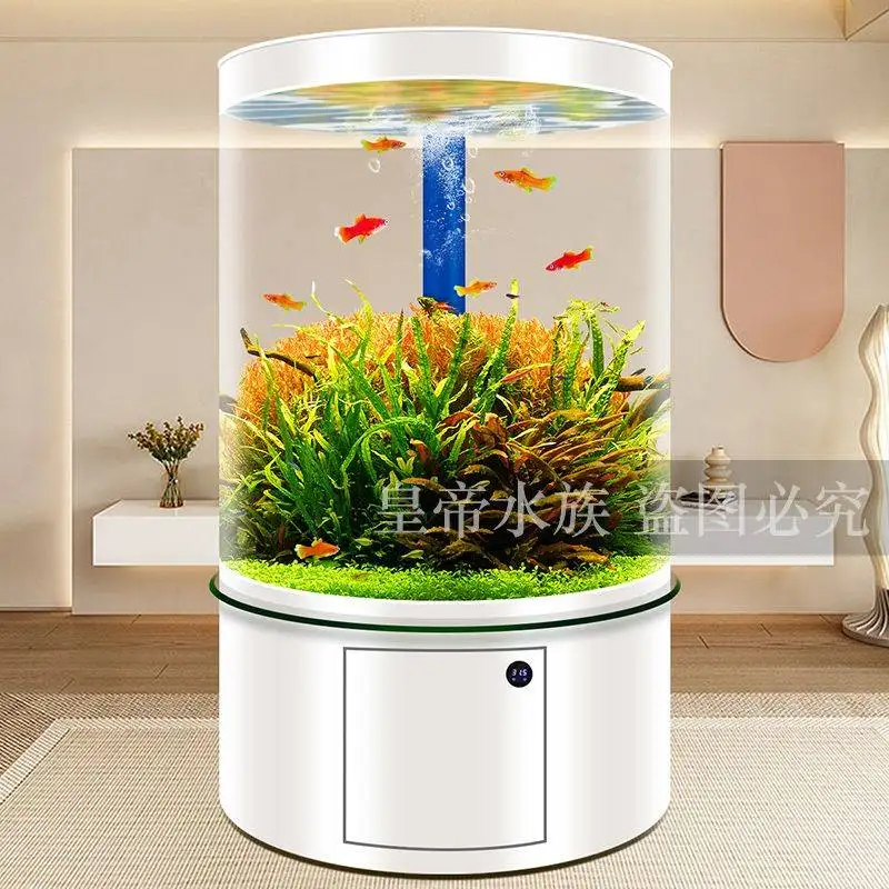 Bể cá trụ tròn nhập khẩu, bể cá thủy cung kính cong tròn BC023