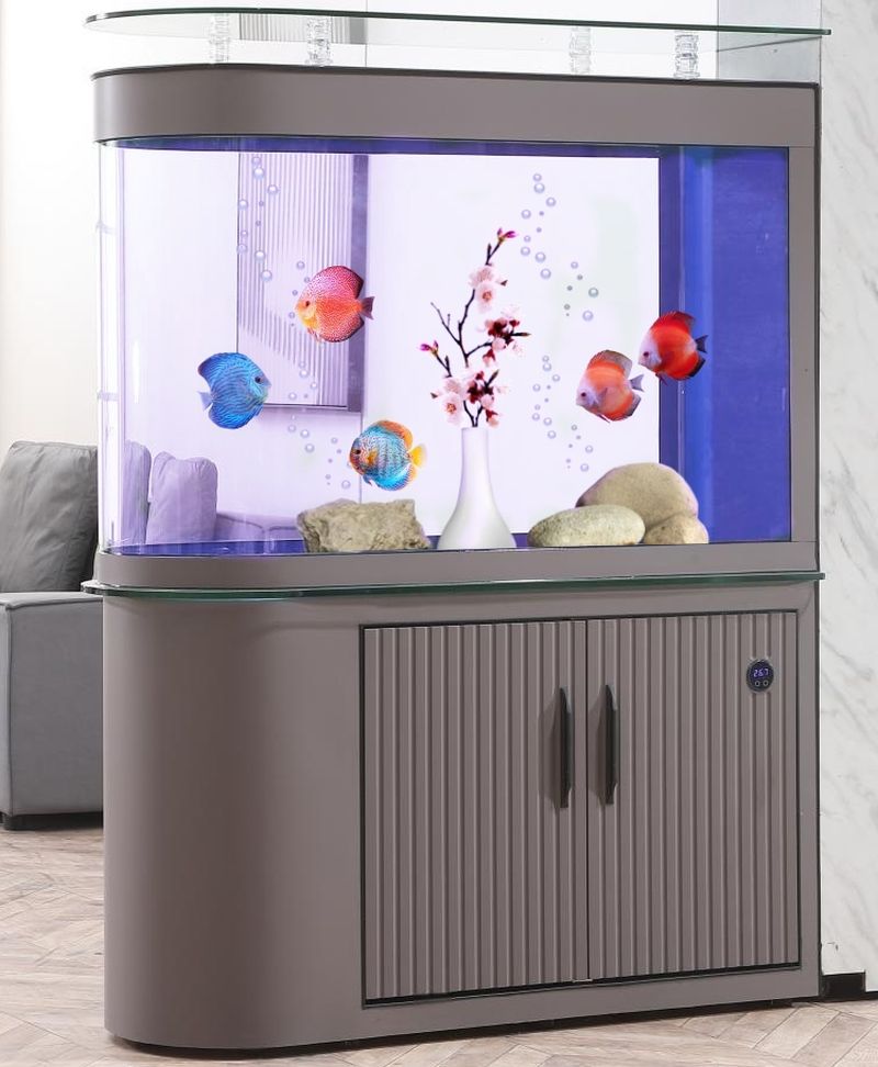 Bể cá nhập khẩu kính đúc cong 2 mặt lọc đáy BC033B màu ghi xám Bể cá nhập khẩu kính đúc cong 2 mặt lọc đáy BC033B màu ghi xám