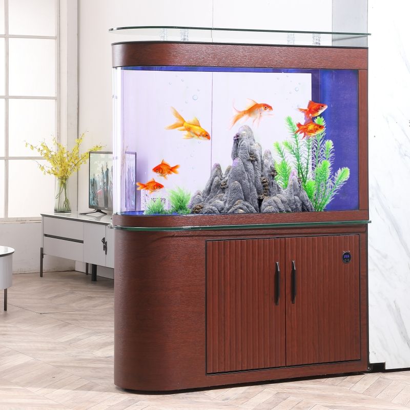 Bể cá nhập khẩu kính đúc trong BC035 5 Bể cá nhập khẩu kính đúc trong BC035 5