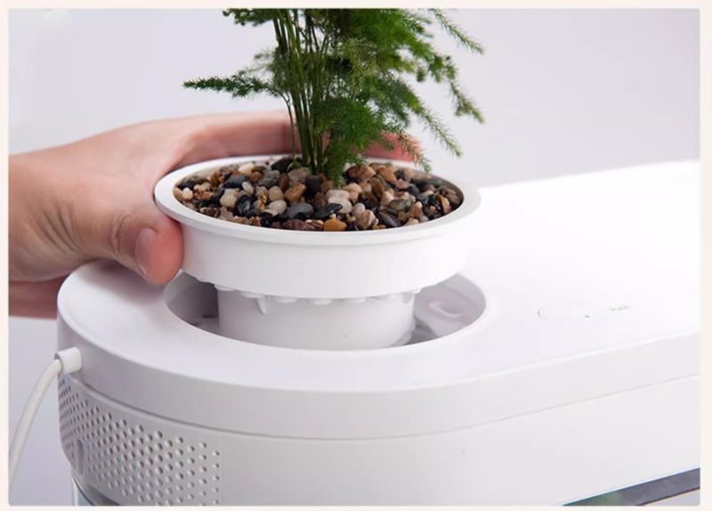 Bể cá mini để bàn, hồ cá trang trí nhỏ BC036 6