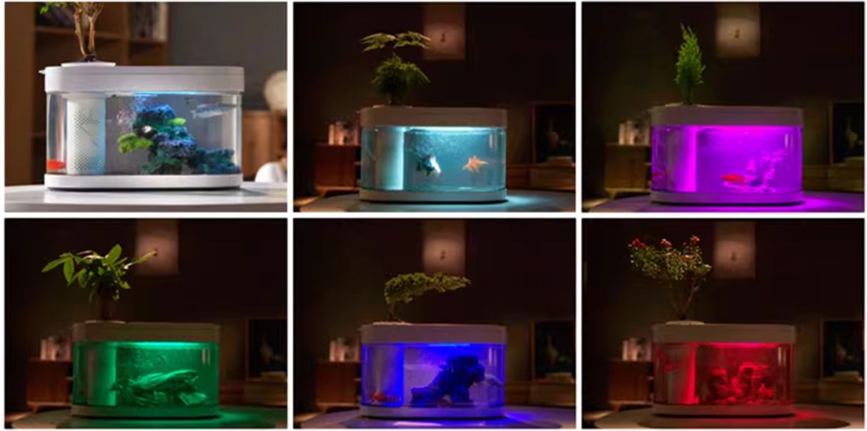 Bể cá mini để bàn, hồ cá trang trí nhỏ BC036 8