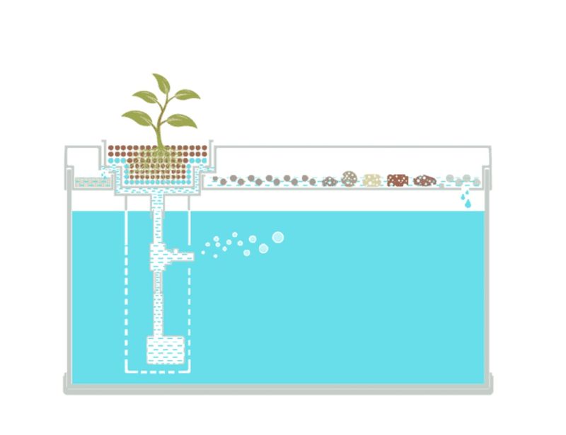 Bể cá mini để bàn, hồ cá trang trí nhỏ BC036 9