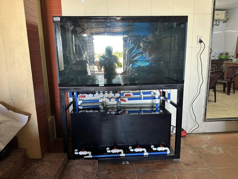 Bể cá công nghệ mới lọc tách phân BC040 10