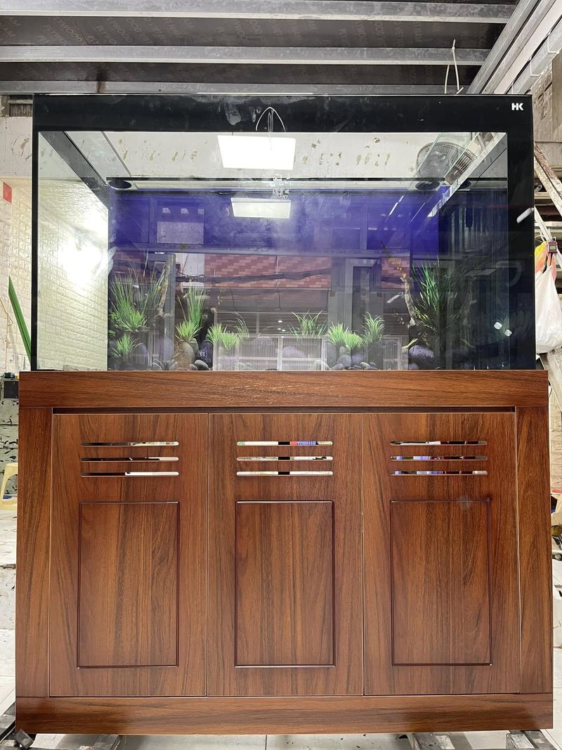 Bể cá công nghệ mới lọc tách phân BC040 5