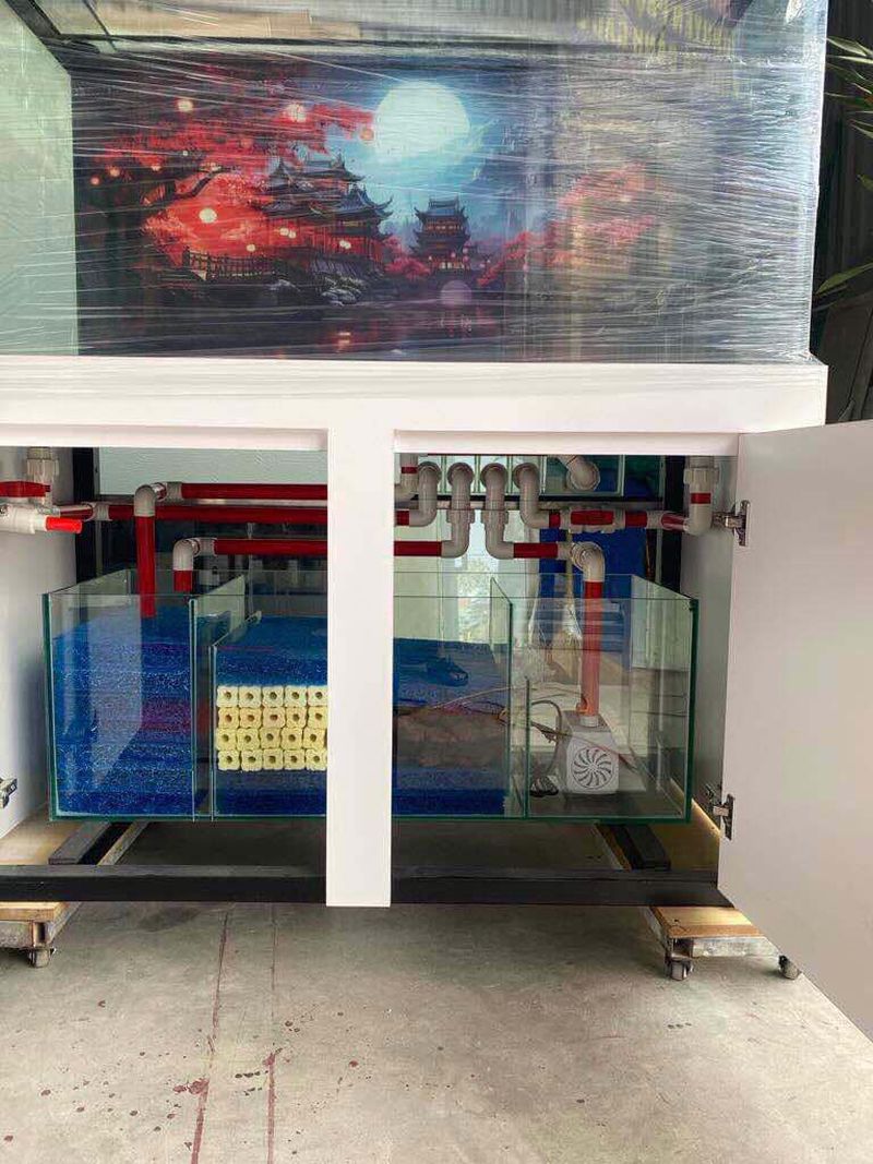 Bể cá công nghệ mới lọc tách phân BC040 7