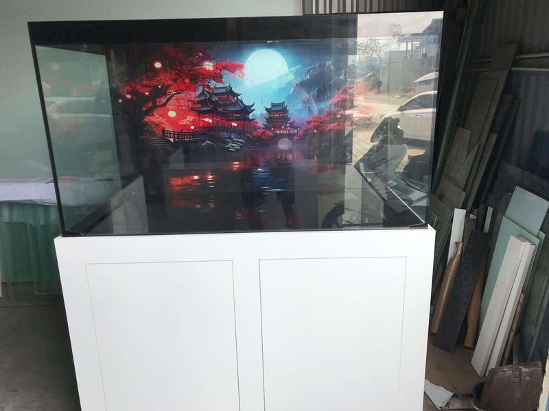 Bể cá công nghệ mới lọc tách phân BC040 8