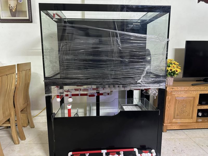 Bể cá công nghệ mới lọc tách phân BC040 9