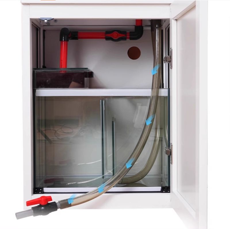 Bể cá nhập khẩu kính siêu trong BC038 sử dụng hệ lọc đáy