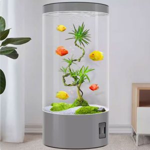 bể trụ tròn lọc tràn trên BC037