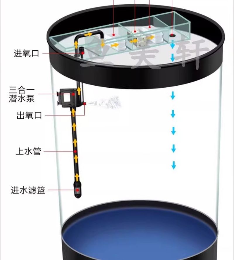 BC037 sử dụng lọc tràn trên