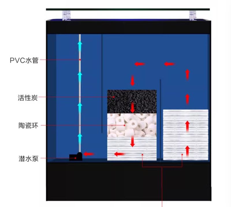 Kết cấu bể cá BC039 lọc vách