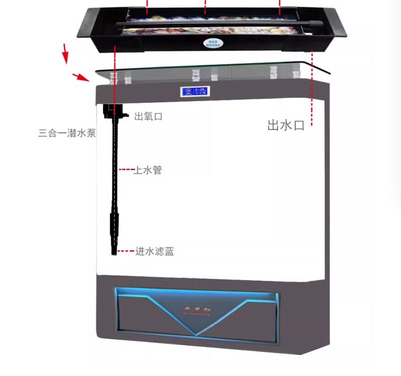 Kết cấu bể cá BC039 lọc tràn trên