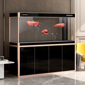 Bể cá rồng, chép koi nhập khẩu BC041 màu đen