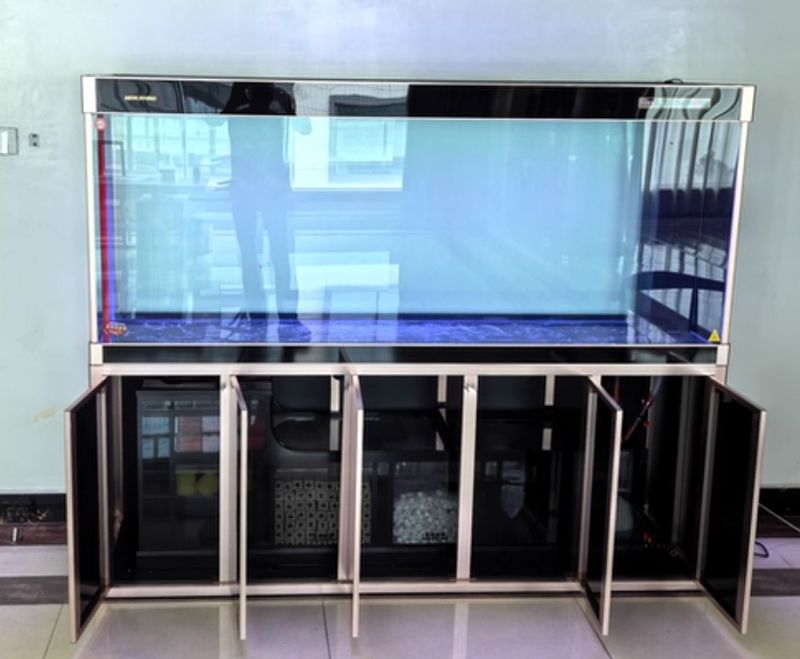 Bể cá rồng, chép koi nhập khẩu BC041 hình ảnh thực tế 3