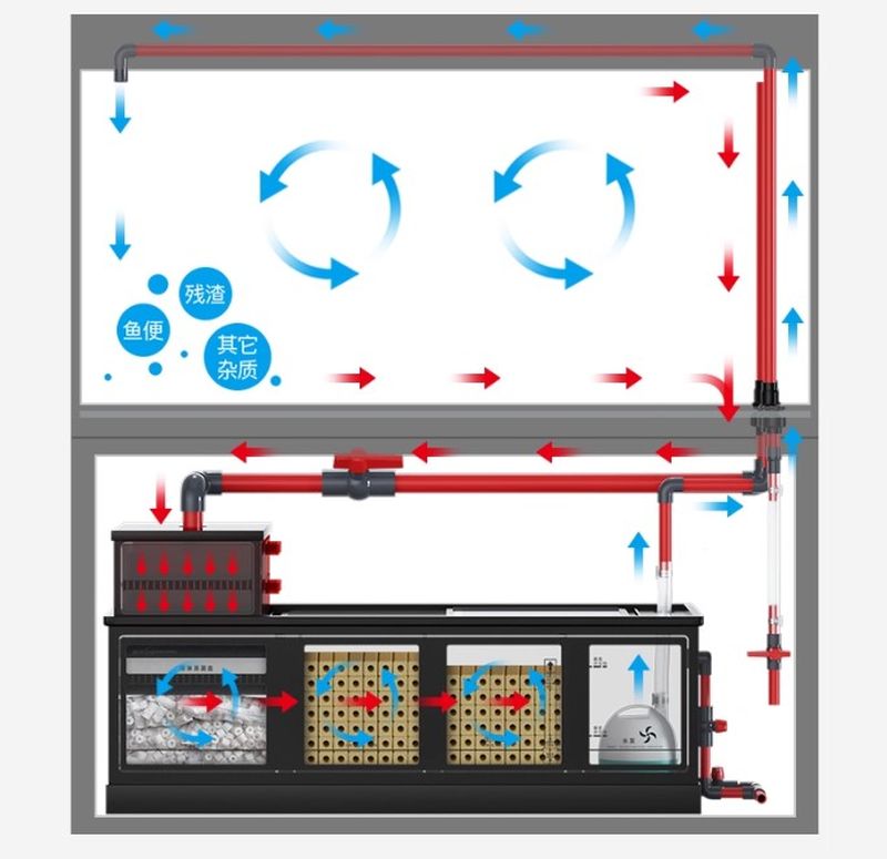 Bể cá rồng, chép koi nhập khẩu BC041 kết cấu công nghệ