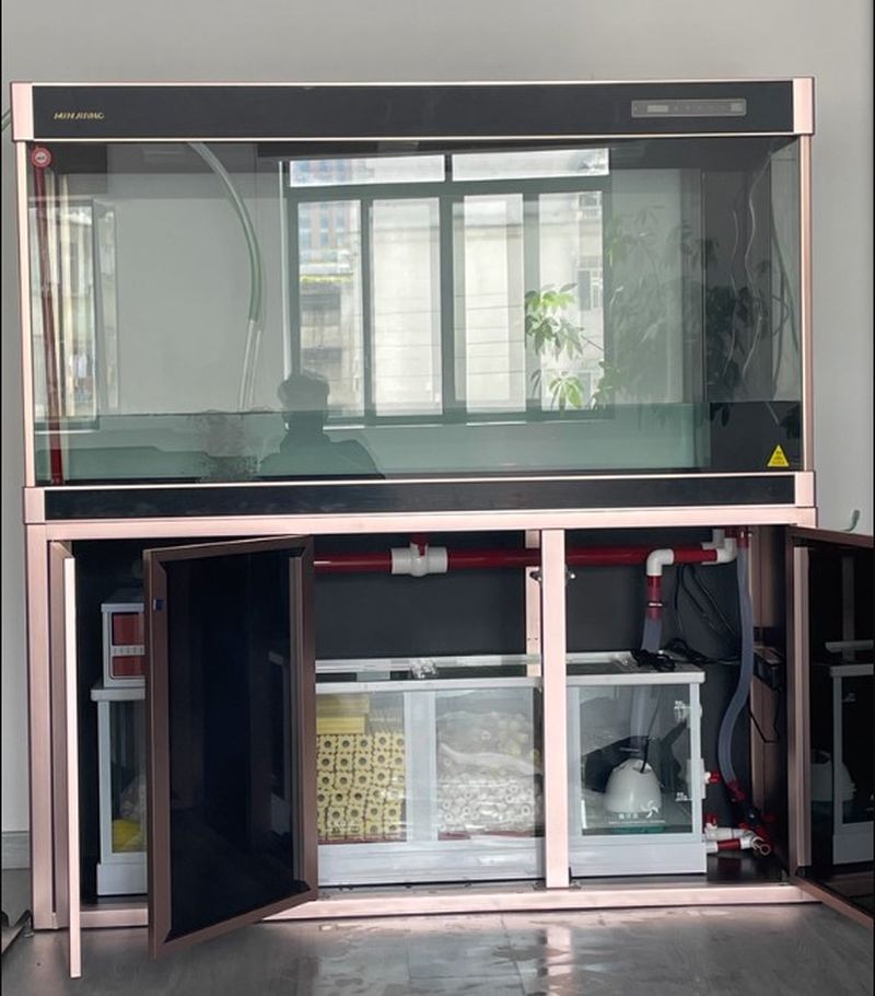 Bể cá rồng, chép koi nhập khẩu BC041 hình ảnh thực tế 2