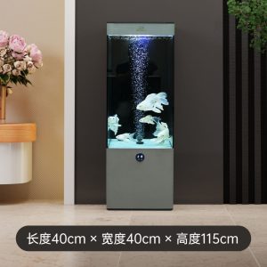 Bể cá chép sư tử BC043