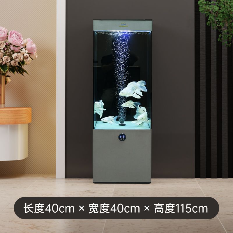 Bể cá chép sư tử BC043