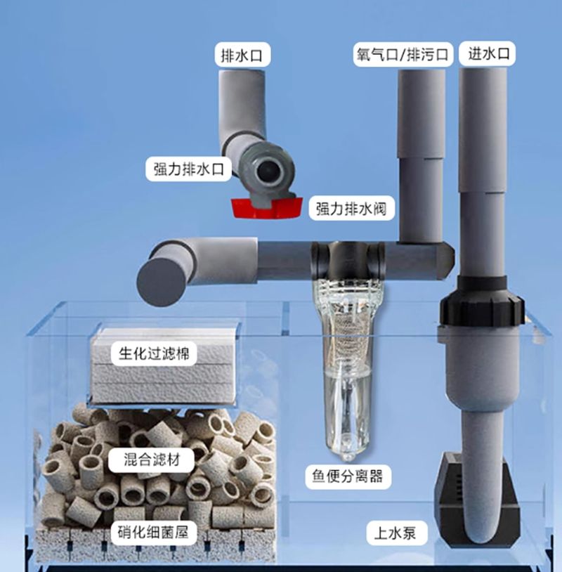 Ảnh lọc đáy Bể cá chép sư tử BC043