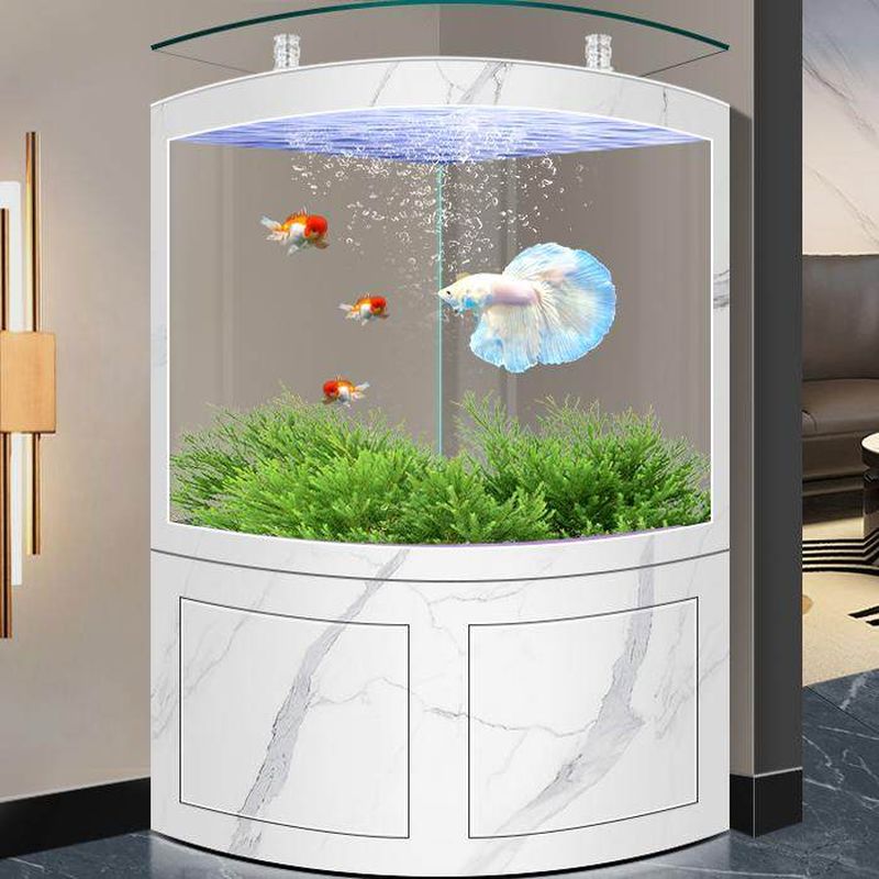 be ca goc kinh cong BC045 4