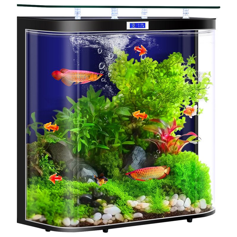Bể cá kính đúc cong lọc vách lưng nhập khẩu trung quốc BC045 màu đen